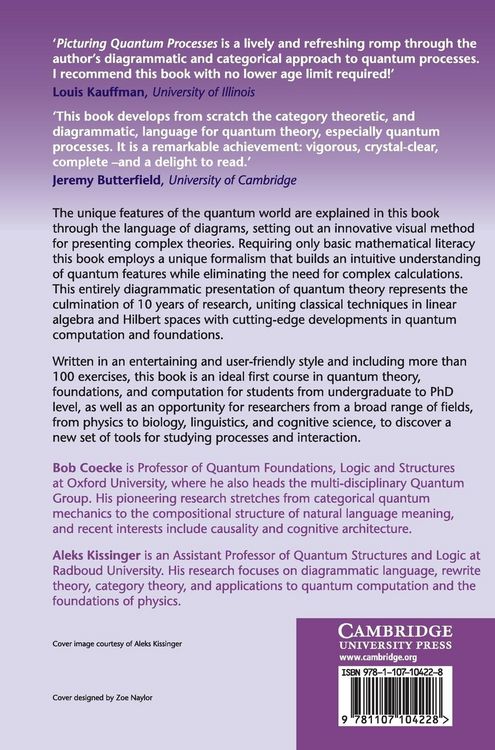 Produktbild: Picturing Quantum Processes