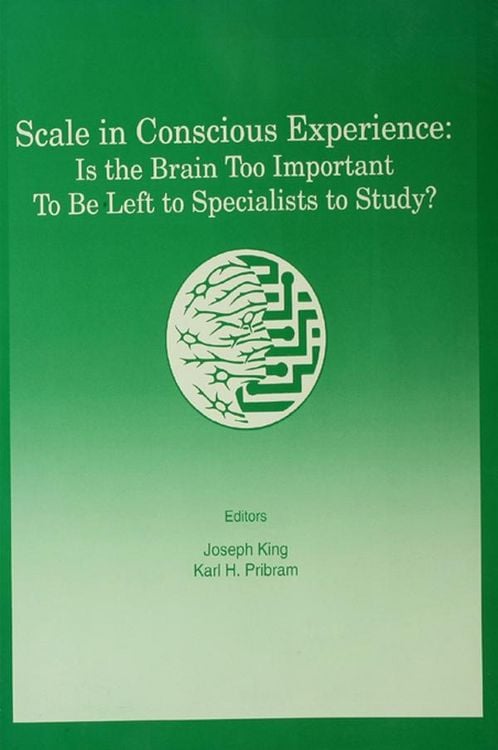 Produktbild: Scale in Conscious Experience