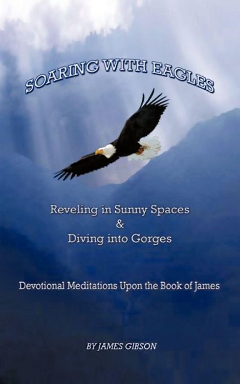 Produktbild: Soaring with Eagles