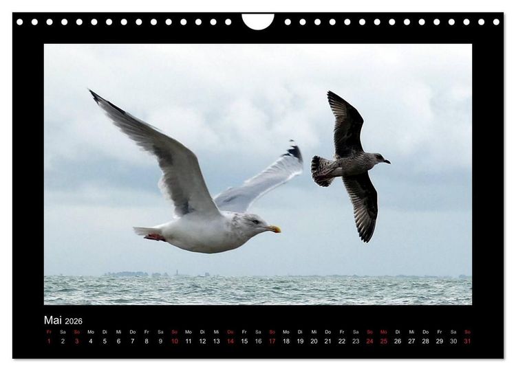 Produktbild: An der Nordsee (Wandkalender 2026 DIN A4 quer), CALVENDO Monatskalender