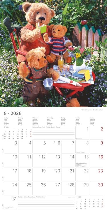 Produktbild: Teddy 2026 - Broschürenkalender 30x30 cm (30x60 geöffnet) - Kalender mit Platz für Notizen - Bildkalender - Wandkalender - mit herausnehmbarem Poster