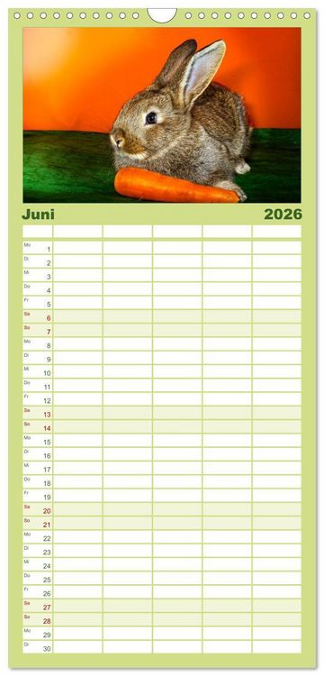 Produktbild: Familienplaner 2026 - Lustige Kaninchen mit 5 Spalten (Wandkalender, 21 x 45 cm) CALVENDO