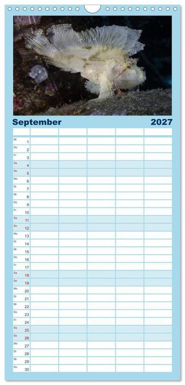 Produktbild: Familienplaner 2027 - Faszination blaue Unterwasserwelt mit 5 Spalten (Wandkalender, 21 x 45 cm) CALVENDO