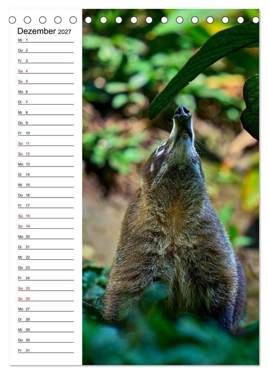 Produktbild: Costa Rica - Magische Tiere des Regenwaldes (Tischkalender 2027 DIN A5 hoch), CALVENDO Monatskalender