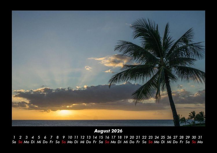 Produktbild: Palmentraum 2026 Fotokalender DIN A3
