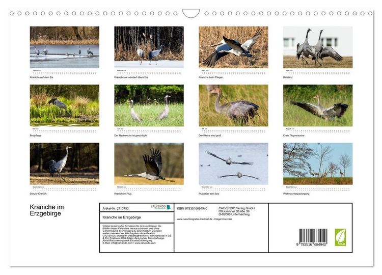 Produktbild: Kraniche im Erzgebirge (Wandkalender 2026 DIN A3 quer), CALVENDO Monatskalender