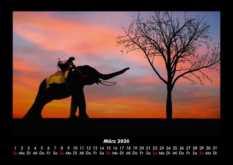 Produktbild: Der Elefantenkalender 2026 Fotokalender DIN A3