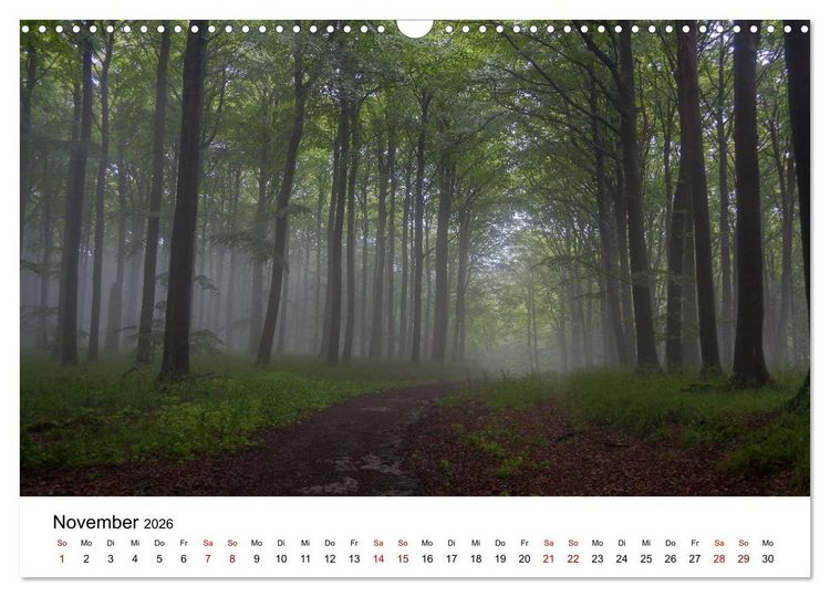 Produktbild: Traumhaftes R&uuml;gen (Wandkalender 2026 DIN A3 quer), CALVENDO Monatskalender