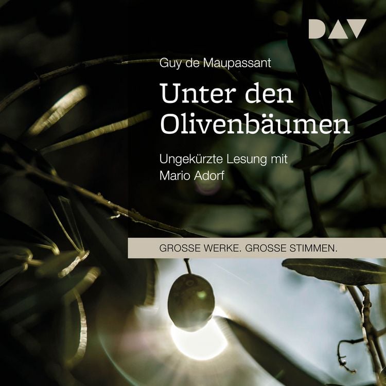 Produktbild: Unter den Olivenbäumen