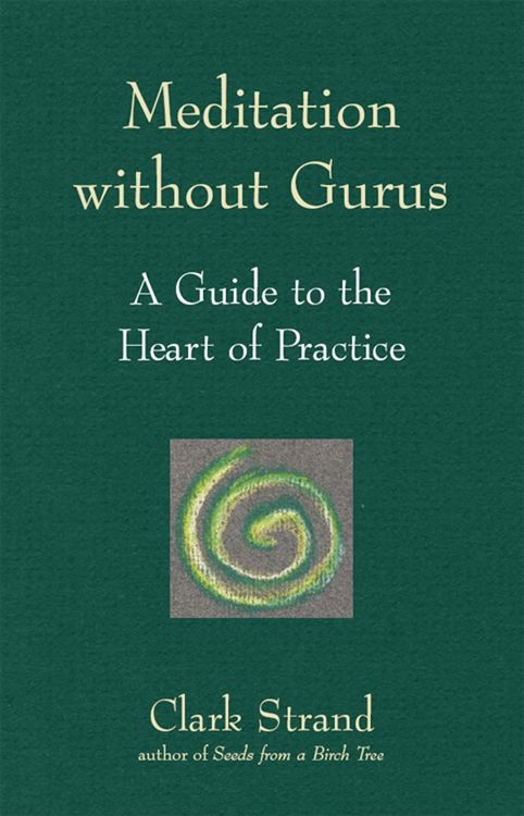 Produktbild: Meditation without Gurus