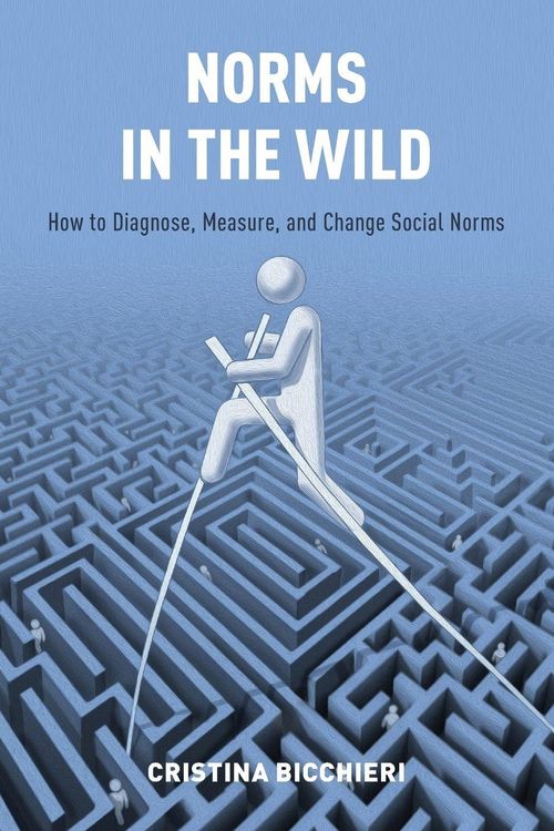 Produktbild: Norms in the Wild