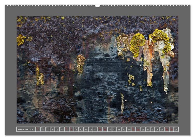 Produktbild: Rost - &Auml;sthetik der Verg&auml;nglichkeit (Wandkalender 2026 DIN A2 quer), CALVENDO Monatskalender
