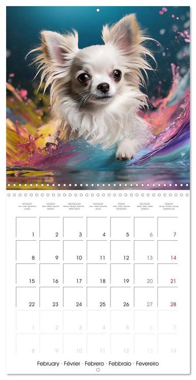 Produktbild: Colourful Splash Dogs (Wall Calendar 2027 12 &times; 12 Inch) CALVENDO 12 Month Wall Calendar