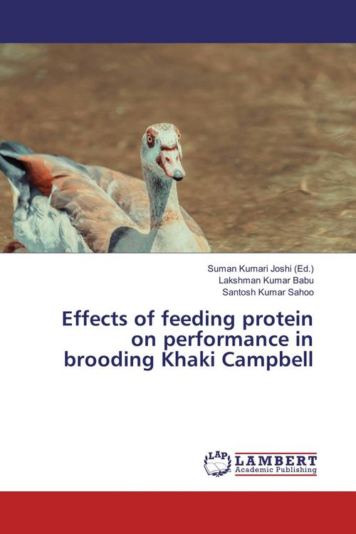 Produktbild: Effects of feeding protein on performance in brooding Khaki Campbell