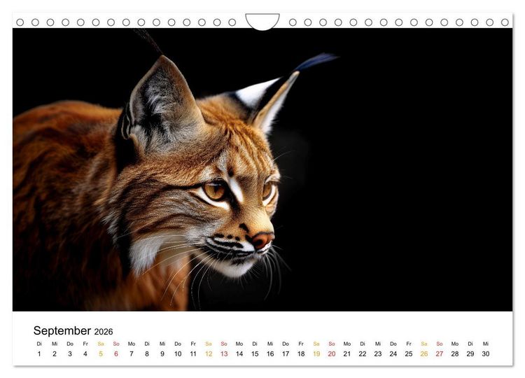Produktbild: Wilde Heimat - Tiere unserer Natur (Wandkalender 2026 DIN A4 quer), CALVENDO Monatskalender