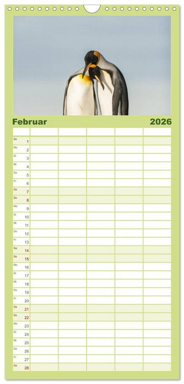 Produktbild: Familienplaner 2026 - Pinguine - Watscheln im festlichen Kleid mit 5 Spalten (Wandkalender, 21 x 45 cm) CALVENDO