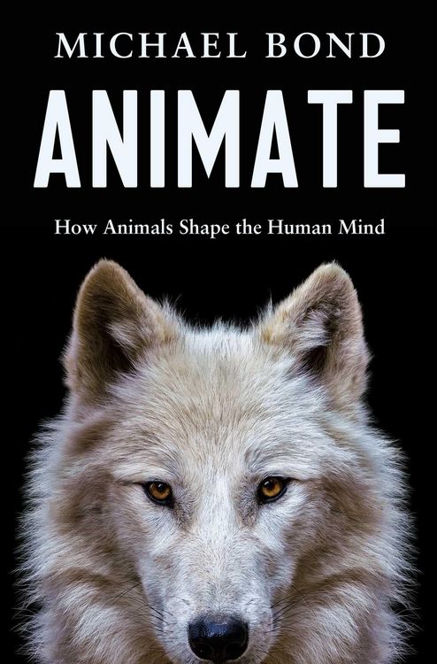 Produktbild: Animate