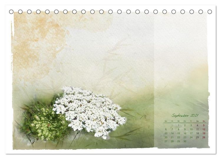 Produktbild: Natur und Farbe Fotografie trifft Aquarell (Tischkalender 2027 DIN A5 quer), CALVENDO Monatskalender