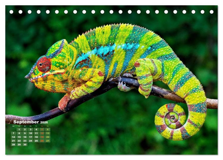 Produktbild: Die Welt in Gr&uuml;n (Tischkalender 2026 DIN A5 quer), CALVENDO Monatskalender