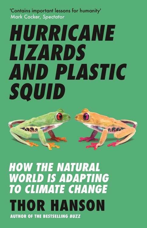 Produktbild: Hurricane Lizards and Plastic Squid
