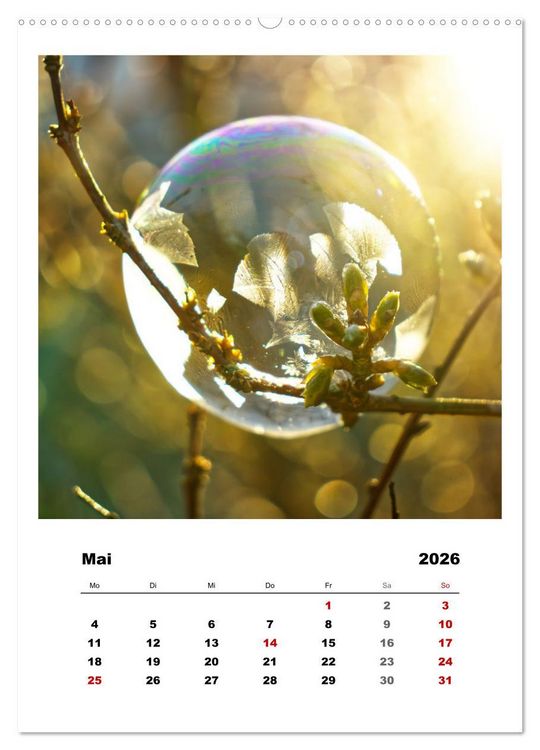 Produktbild: Frostige Seifenblasen (hochwertiger Premium Wandkalender 2026 DIN A2 hoch), Kunstdruck in Hochglanz