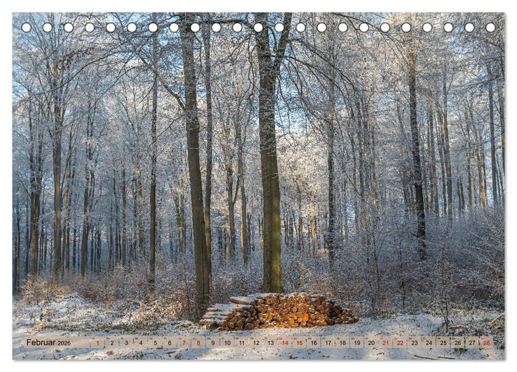 Produktbild: Impressionen aus Mecklenburg - Vorpommern (Tischkalender 2026 DIN A5 quer), CALVENDO Monatskalender
