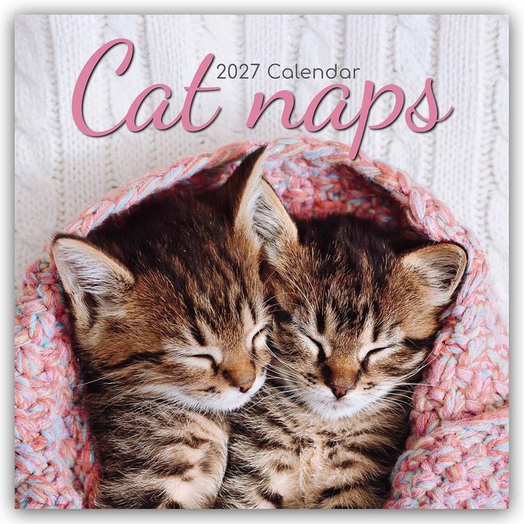 Produktbild: Cat Naps &ndash; Tr&auml;umende Katzen 2027 &ndash; 16-Monatskalender