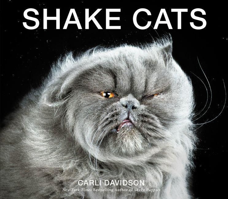 Produktbild: Shake Cats