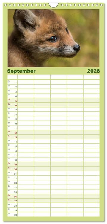 Produktbild: Familienplaner 2026 - Bei den Jungf&uuml;chsen mit 5 Spalten (Wandkalender, 21 x 45 cm) CALVENDO