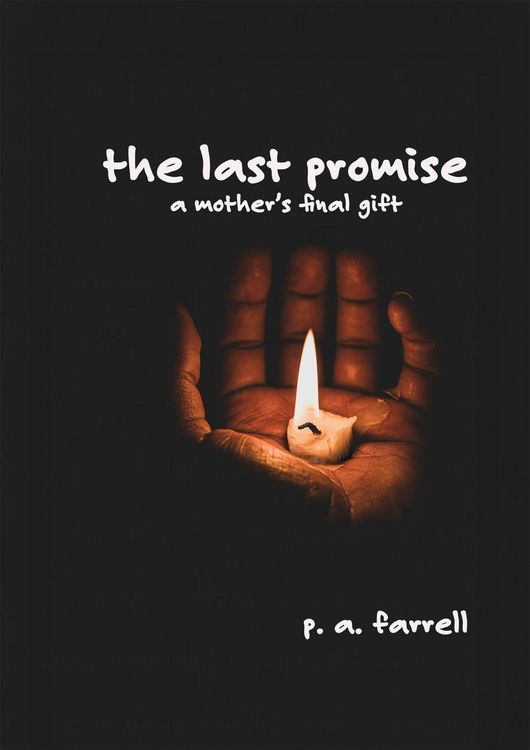 Produktbild: The Last Promise
