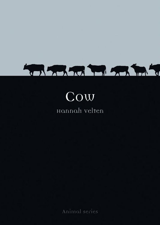 Produktbild: Cow