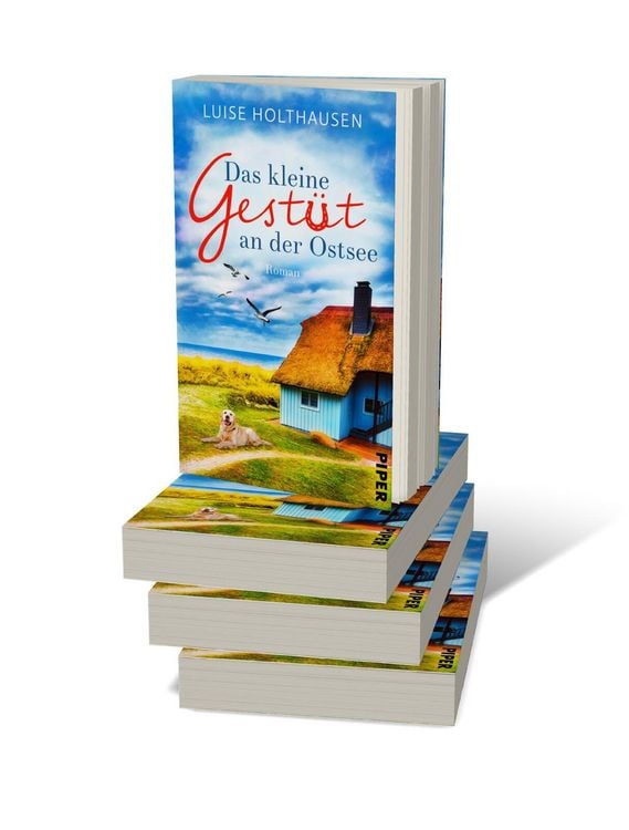 Produktbild: Das kleine Gest&uuml;t an der Ostsee