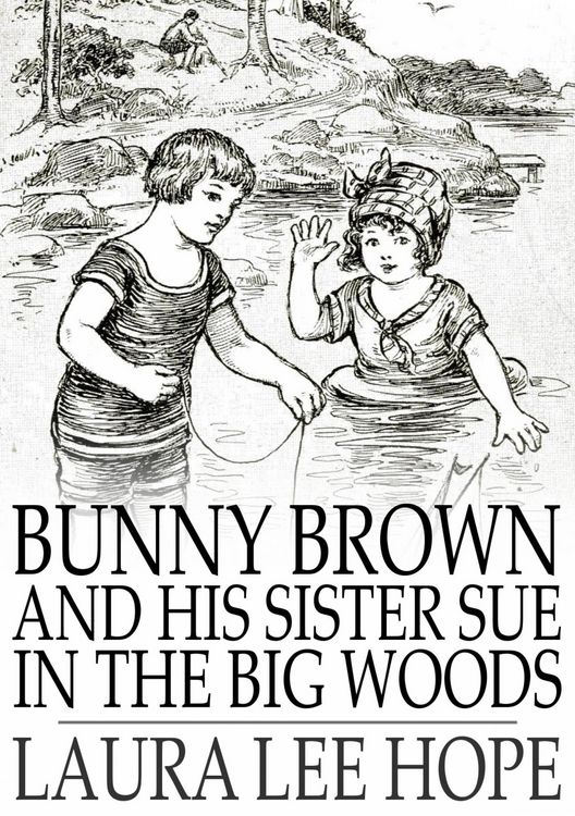 Produktbild: Bunny Brown and His Sister Sue in the Big Woods