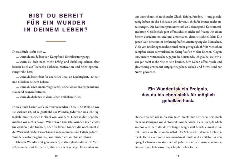 Produktbild: Wunderwerk