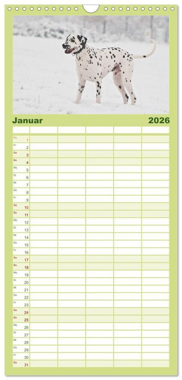 Produktbild: Familienplaner 2026 - Auf den Punkt - Dalmatiner mit 5 Spalten (Wandkalender, 21 x 45 cm) CALVENDO