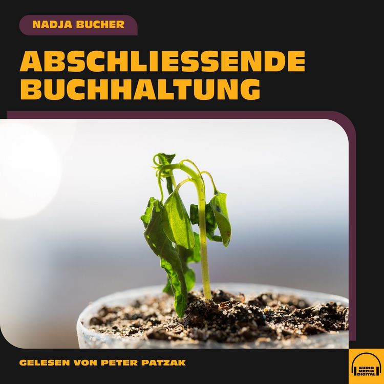 Produktbild: Abschlie&szlig;ende Buchhaltung