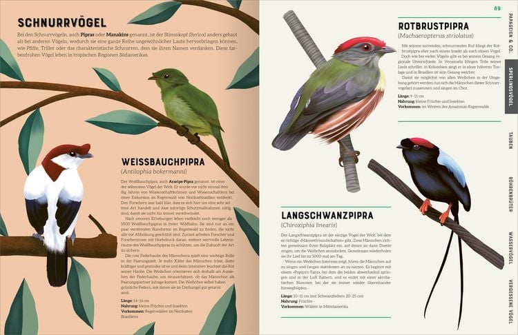 Produktbild: Das gro&szlig;e Lexikon der V&ouml;gel