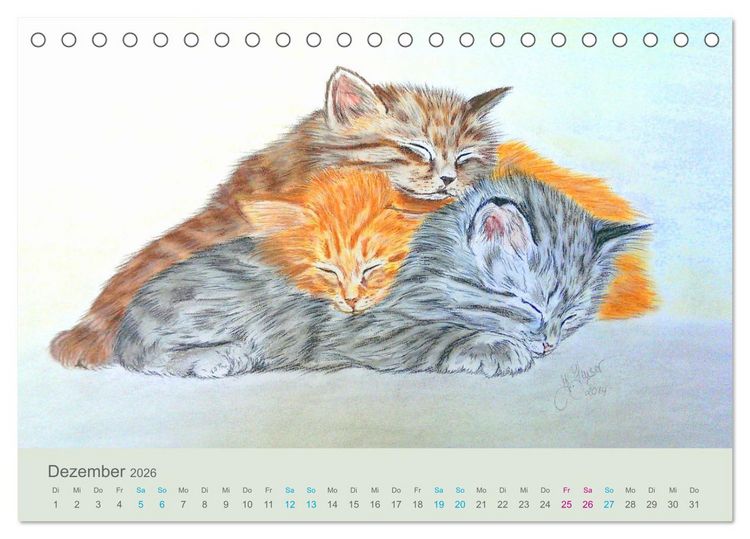 Produktbild: KATZEN PortraiTierART (Tischkalender 2026 DIN A5 quer), CALVENDO Monatskalender