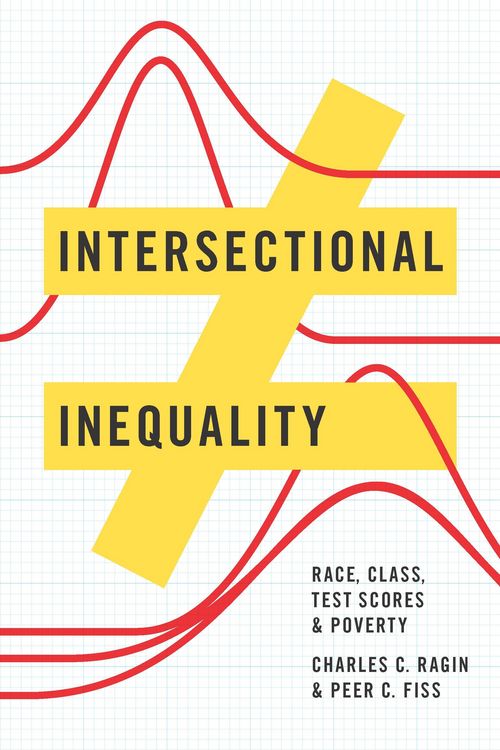 Produktbild: Intersectional Inequality