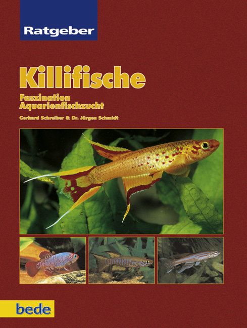 Produktbild: Ratgeber Killifische