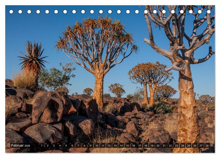 Produktbild: Zwischen Namib und Kalahari (Tischkalender 2026 DIN A5 quer), CALVENDO Monatskalender