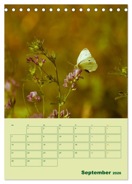 Produktbild: Wald- und Wiesenkalender 2026 Planer (Tischkalender 2026 DIN A5 hoch), CALVENDO Monatskalender
