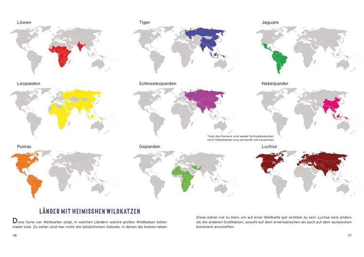 Produktbild: Mad Maps