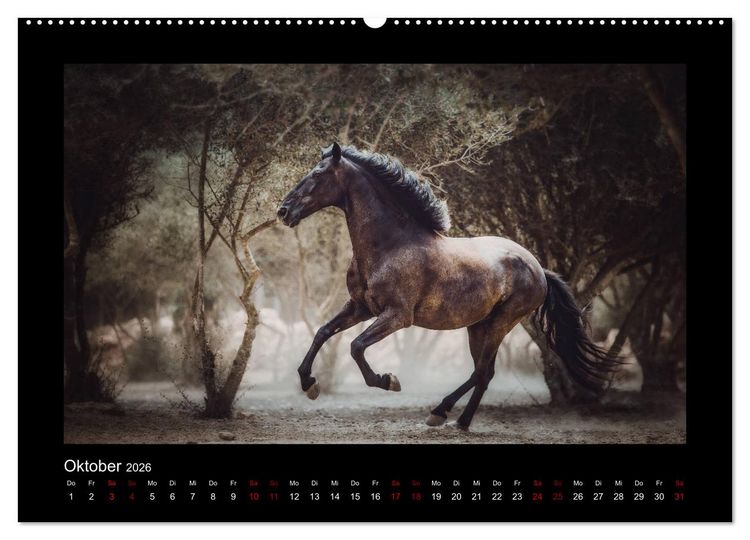 Produktbild: Die Faszinierende Welt der Pferde (hochwertiger Premium Wandkalender 2026 DIN A2 quer), Kunstdruck in Hochglanz