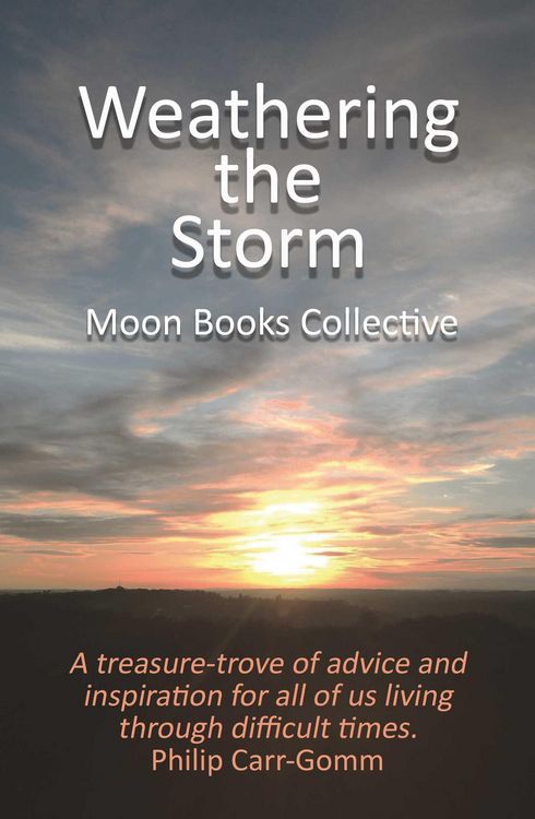 Produktbild: Weathering the Storm