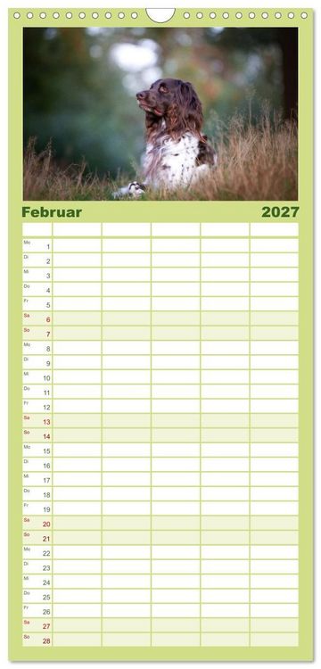 Produktbild: Familienplaner 2027 - Jagdhund im Portrait - Deutsch Langhaar mit 5 Spalten (Wandkalender, 21 x 45 cm) CALVENDO