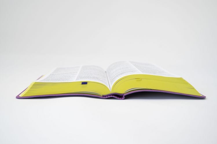 Produktbild: Die Bibel. Senfkorn, Handschmeichler lila