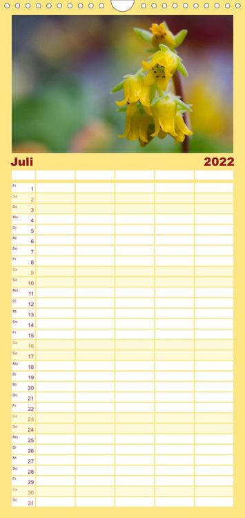 Produktbild: Bl&uuml;tensymphonie - Kakteen und Sukkulenten - Familienplaner hoch (Wandkalender 2022 , 21 cm x 45 cm, hoch)