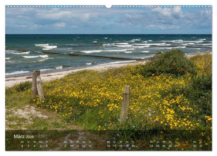 Produktbild: Insel Hiddensee - Wildromantisch unber&uuml;hrt (Wandkalender 2026 DIN A2 quer), CALVENDO Monatskalender