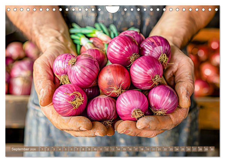 Produktbild: Mein Gem&uuml;segarten - Ein Jahr knackig frisches Gem&uuml;se (Wandkalender 2026 DIN A4 quer), CALVENDO Monatskalender